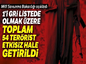 Milli Savunma Bakanlığı: '54 terörist etkisiz hale getirildi'