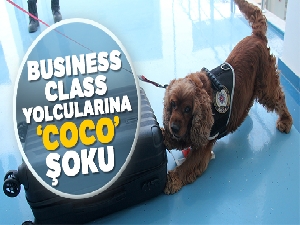Business Class yolcularına "Coco" şoku