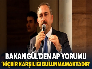 Bakan Gül'den AP yorumu: 'Türkiye'ye karşı önyargılarla dolu rapor'
