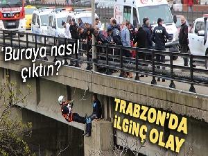 Görenler neden intihar edeceğini değil, oraya nasıl çıktığını merak ettiler