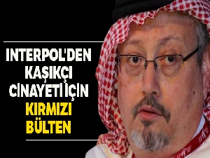 INTERPOL'den Kaşıkçı cinayeti için kırmızı bülten