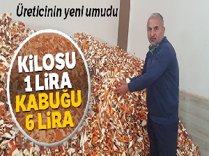 Portakalın kilosu 1 lira kabuğu 6 lira