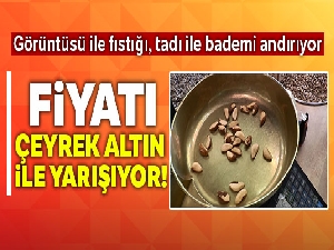 Brezilya cevizinin fiyatı çeyrek altın ile yarışıyor