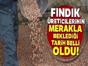 AK Partili milletvekili fındık üreticilerinin beklediği tarihi verdi