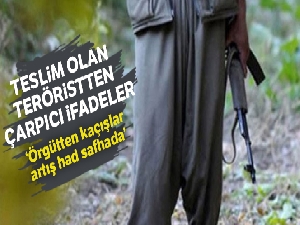 Teslim olan teröristlerden çarpıcı itiraflar