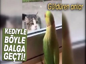 Camın arkasından kediyle böyle dalga geçti