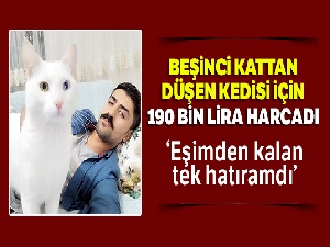 Beşinci kattan düşen kedisi için 190 bin lira harcadı