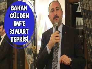 Bakan Gül'den IMF'ye 31 Mart tepkisi