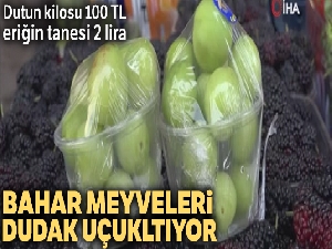 Dutun kilosu 100 TL, eriğin tanesi 2 liradan satılıyor