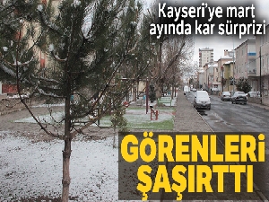 Kayseri'de Mart ayının son günlerinde kar yağdı
