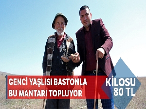 Genci yaşlısı bastonla bu mantarı topluyor