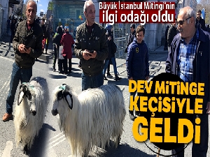 Dev mitinge keçisiyle geldi