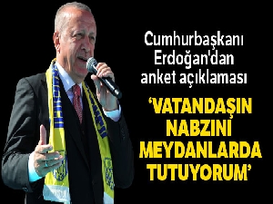 Cumhurbaşkanı Erdoğan'dan anket açıklaması!