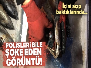 Balığın solungacında uyuşturucu kaçakçılığı