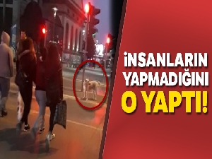 Kırmızı ışıkta insanlar geçti, o bekledi