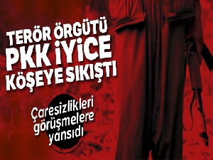 Terör örgütü PKK iyice köşeye sıkıştı