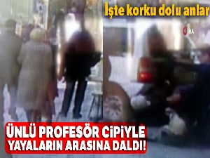 Ünlü profesörün cipiyle yayaların arasında daldığı kaza kamerada