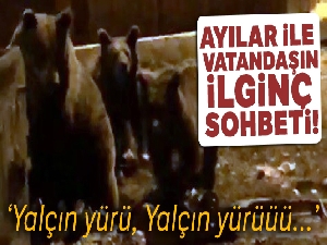 Kış uykusundan uyanan ayıların meraklı vatandaşlarla imtihanı