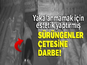 'Sürüngenler çetesi' üyesi 5 kişi tutuklandı