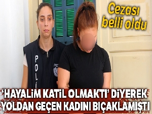 'Hayalim katil olmaktı' diyerek yoldan geçen kadını bıçaklayan liseliye 5 yıl hapis cezası