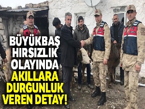 Büyükbaş hayvan hırsızlığında akıllara durgunluk veren detay