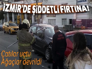 İzmir'de şiddetli fırtına: Çatılar uçtu, ağaçlar devrildi