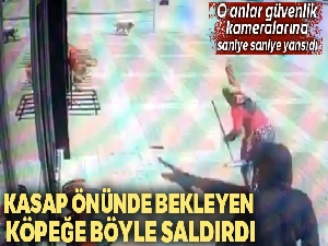 Kasap önünde kemik bekleyen köpeğe, parke taşıyla saldırdı