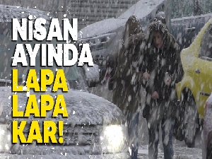 Ardahan'a lapa lapa kar yağıyor