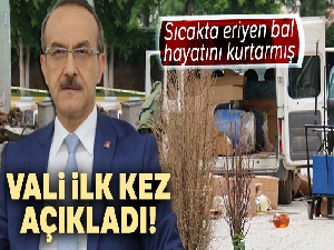 Sıcakta eriyen bal Vali Yavuz'un hayatını kurtarmış