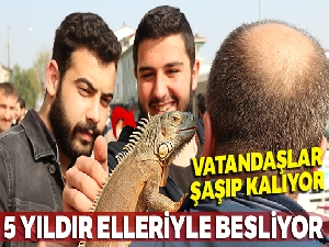 5 yıldır beslediği iguana en yakın arkadaşı oldu
