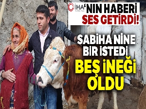 Bir istedi, beş ineği oldu |Sabiha nine hayırseverlere ve Cumhurbaşkanı Erdoğan'a teşekkür etti
