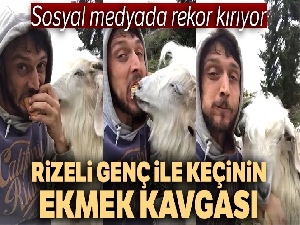 Rizeli gencin keçi ile ekmek kavgası sosyal medyada ilgi çekti