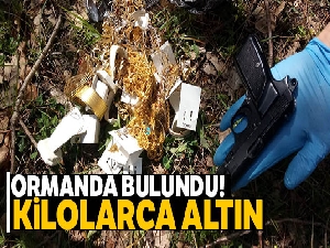 Altınları ormana saklamışlar