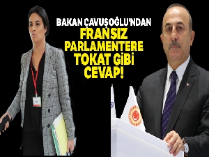 Bakan Çavuşoğlu'ndan, Fransız parlamentere tokat gibi cevap