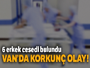 Van'da uyruğu tespit edilemeyen 6 erkek cesedi bulundu