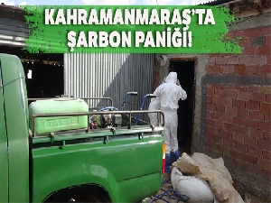 Afşin'de şarbon paniği