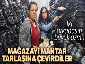 İki arkadaş azmetti, mağazayı mantar tarlasına çevirdi