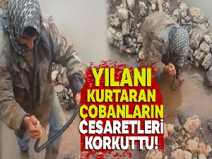 Yılanı kurtaran çobanların cesaretleri korkuttu, yorumları güldürdü