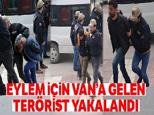 Eylem için Van'a gelen terörist yakalandı