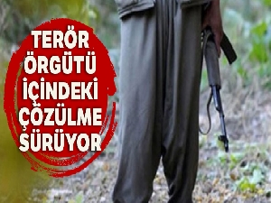 Terör örgütü içindeki çözülme sürüyor: 4 terörist teslim oldu