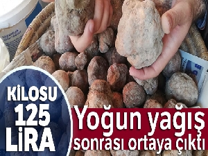Yoğun yağış sonrası ortaya çıktı, kilosu 125 liradan satılıyor