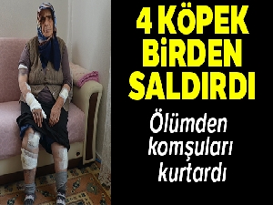 Köpeklerin saldırdığı yaşlı kadını ölümden komşuları kurtardı