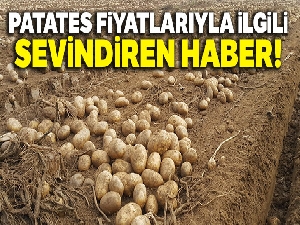 Patatesin fiyatı 1,5 liraya kadar düşer