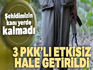 Diyarbakır'da 3 PKK'lı terörist etkisiz hale getirildi