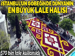 İstanbul'un göbeğinde dünyanın en büyük lale halısı