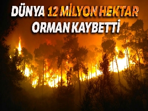 Dünya 2018 yılında 12 milyon hektar orman daha kaybetti