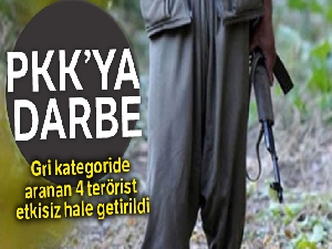PKK'ya darbe! Gri kategoride aranan 4 terörist etkisiz hale getirildi