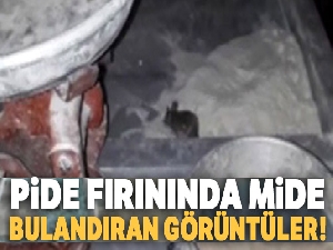 Pide fırınında mide bulandıran görüntü