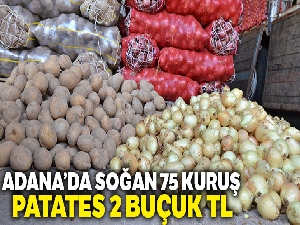 Cep yakan soğanın fiyatı 75 kuruşa kadar düştü