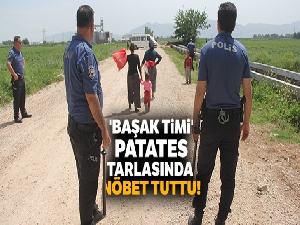 'Başak timi' patates tarlasında nöbet tuttu